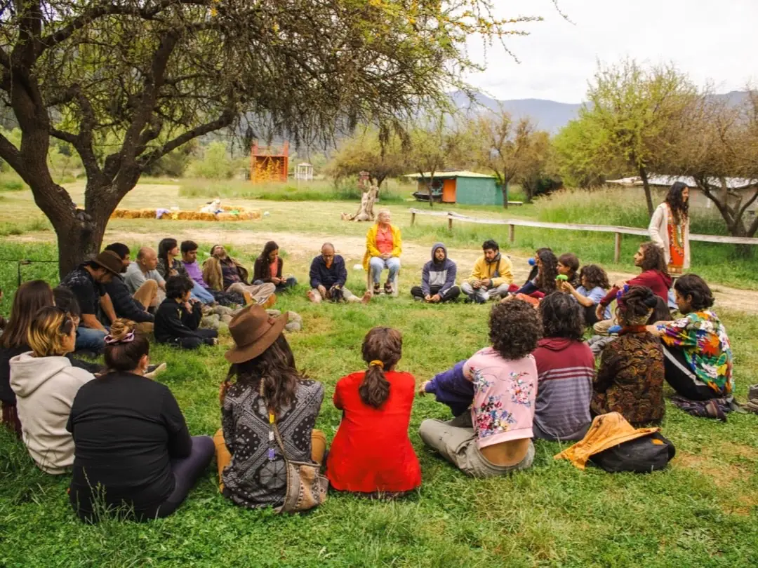 Círculo de participantes del Encuentro de Regeneración reunidos bajo un árbol en La Bella Ecoaldea