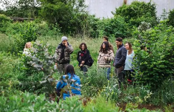 Grupo de participantes del Encuentro de Regeneración recorriendo un terreno con vegetación alta